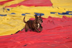 Ballonvaren bij Ballonbon.nl